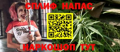 прущие грибы Кумертау