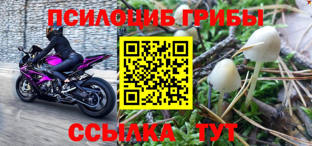 Псилоцибиновые грибы прущие грибы Фрязино
